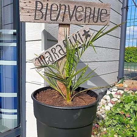 Bed & Breakfast Marafiki Etretat Percoq